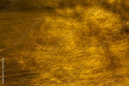 the texture outdoor of yellow colors for background