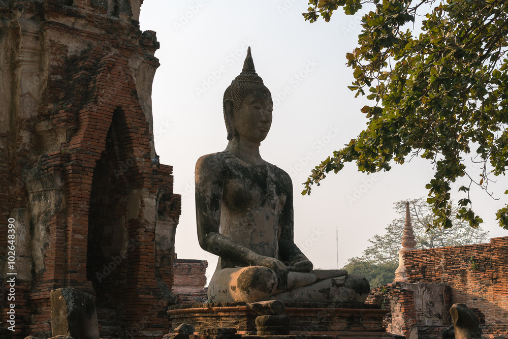 Obraz premium buddha Statue 