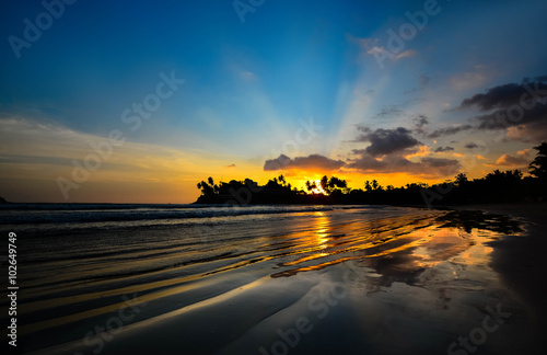 Beautiful Tropical Beach In Sri Lanka