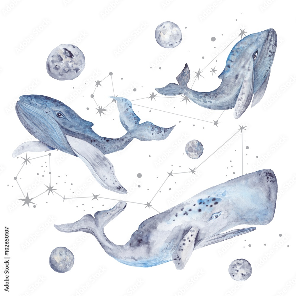 Φωτογραφία Watercolor Illustration with Whales and Stars