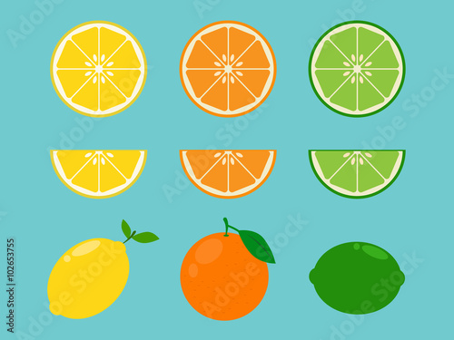 Vitamin C Fruit in flat design style