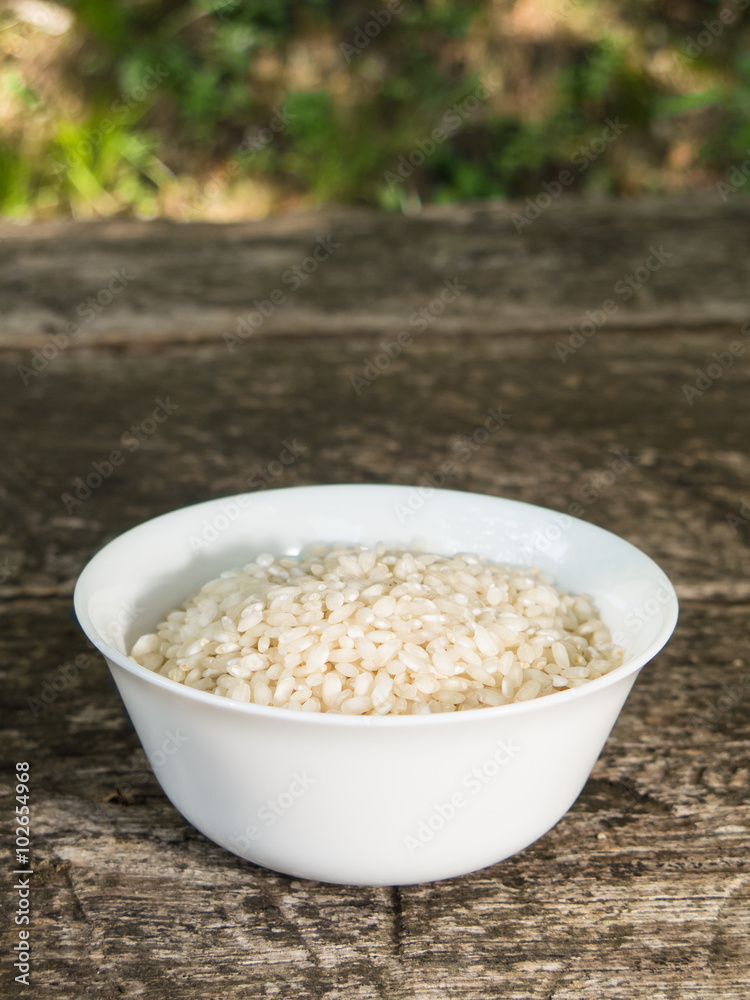 Rice bowl Rice bowl