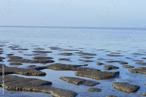 Weltnaturerbe Wattenmeer photo