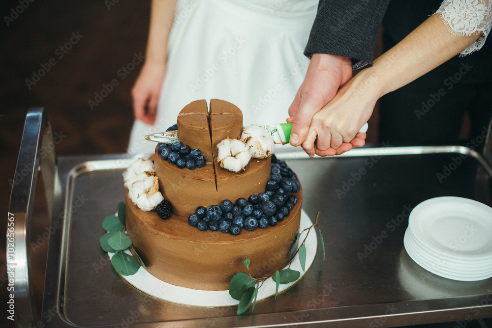 chocolate cake with blueberries and cotton