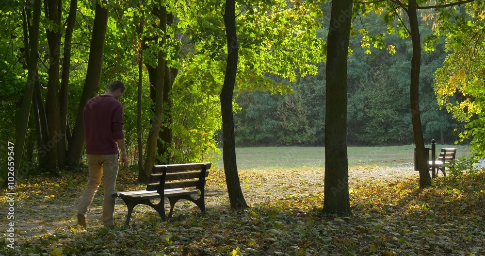 Man is Walking Waddling by The Park Alley Approaching to the Bench Seats on the Bench Man Has Stretched His Legs Picked Up Yellow Leaves Made Bouquet Man is Walking Waddling by The Park Alley Approaching to the Bench Seats on the Bench Man Has Stretched His Legs Picked Up Yellow Leaves Made Bouquet
