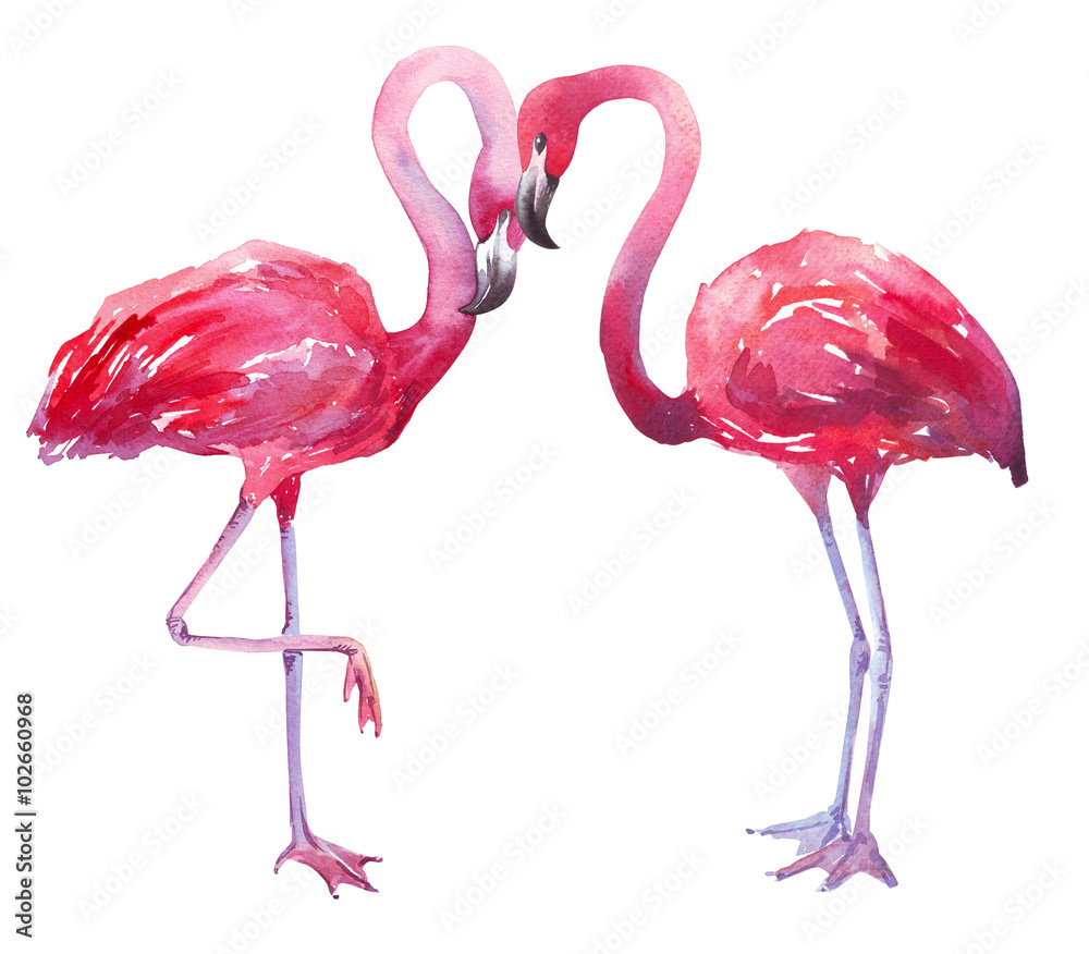 Naklejka premium akwarela ilustracja flaminga
