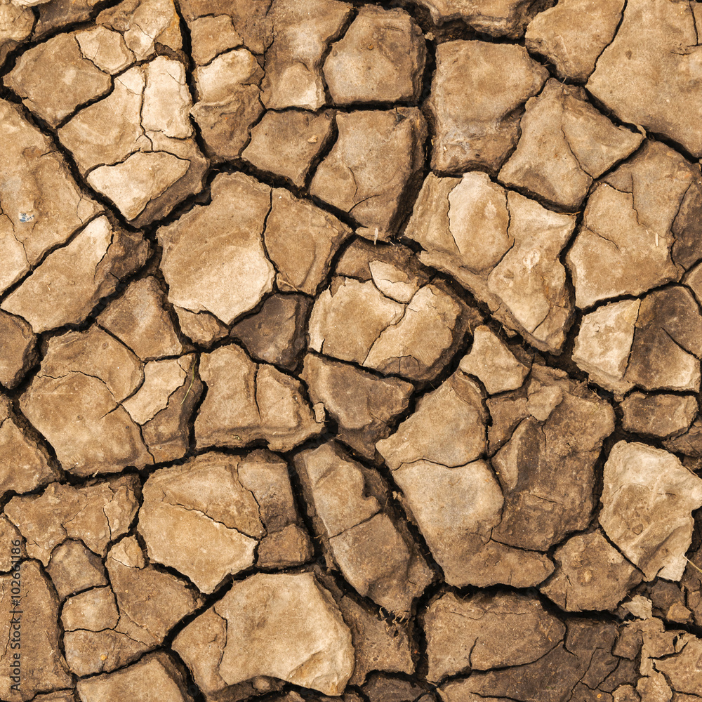 Mud on a beach which has dried and cracked