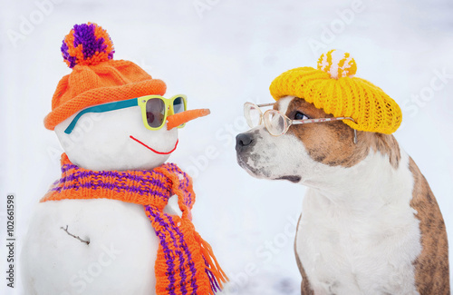 Fotografie, Obraz Dog with glasses and hat looking at funny dressed snowman