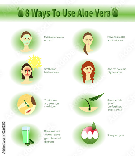 Aloe Vera infographic.Aloe Uses.