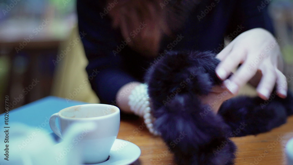 Woman sitting at the table and touching black fur
Woman sitting at the table and touching black fur