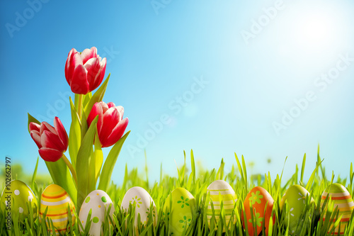 Easter eggs and tulips flower on meadow