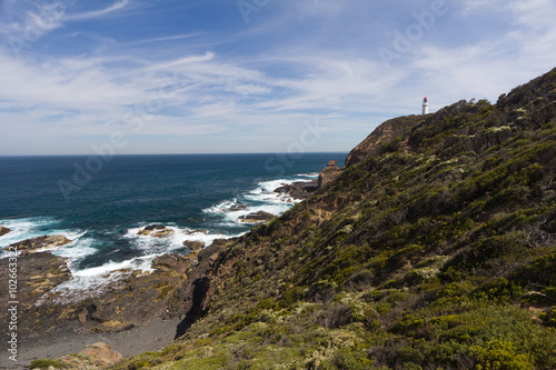 Cape Schanck Lighthouse from afar