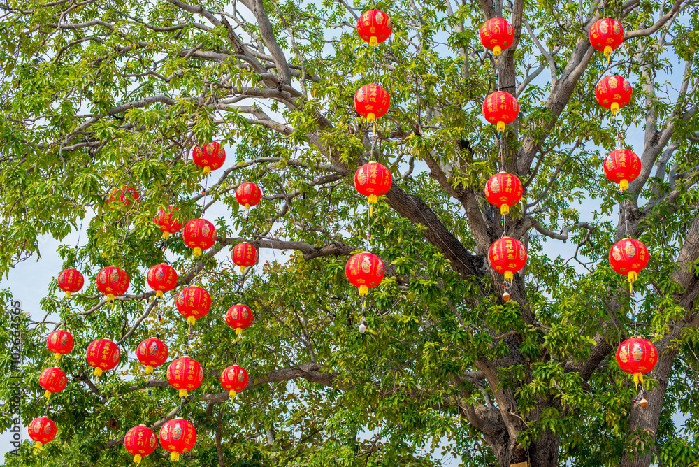 Red lamp of Chinese for festival, on the tree.