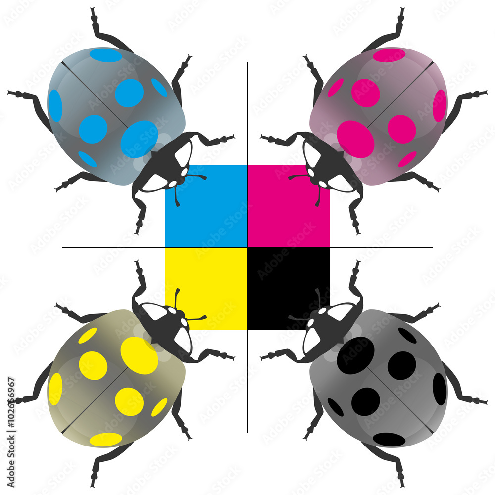 Obraz premium cmyk38 CyanMagentaYellowKey - prs2 PrintingRegistrationSign - c m y k circle coccinellidae - g4263
