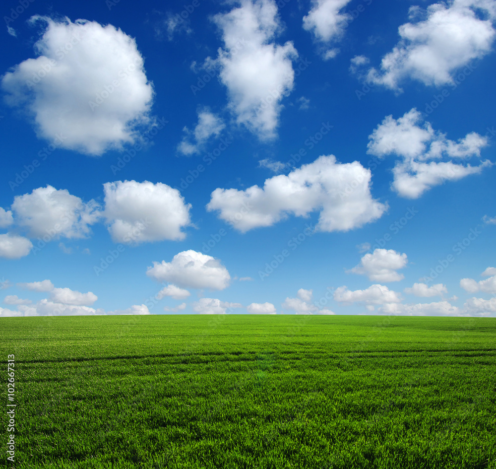 green field green field