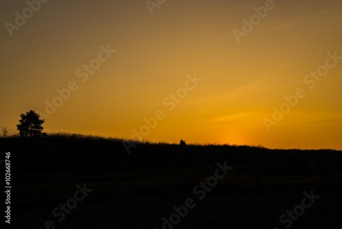 Scenic View of Silhouetted Tree against a Beautiful Sunrisetrees silhouette at sunset - twilight sky © KissShot