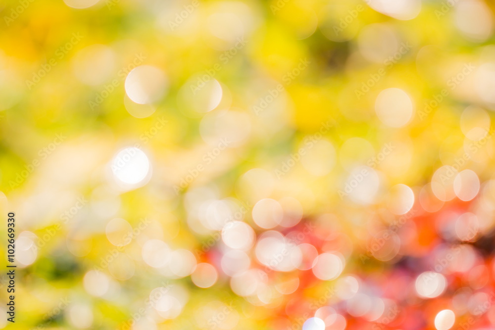 Bokeh background on green and red leaf. Element of design. Bokeh background on green and red leaf. Element of design.