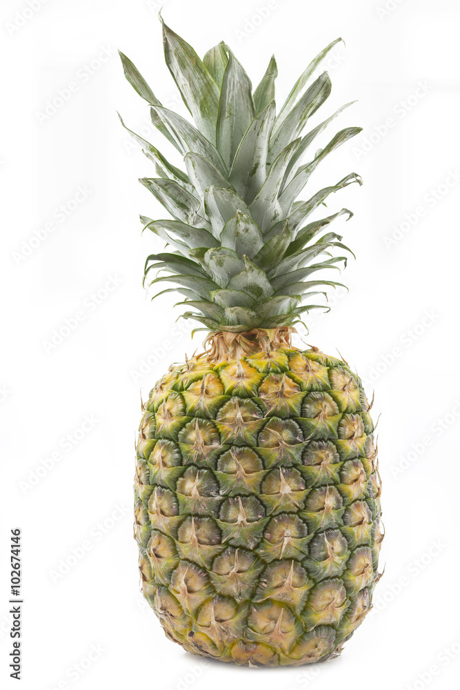 Ganze Ananas auf weißem Hintergrund Ganze Ananas auf weißem Hintergrund