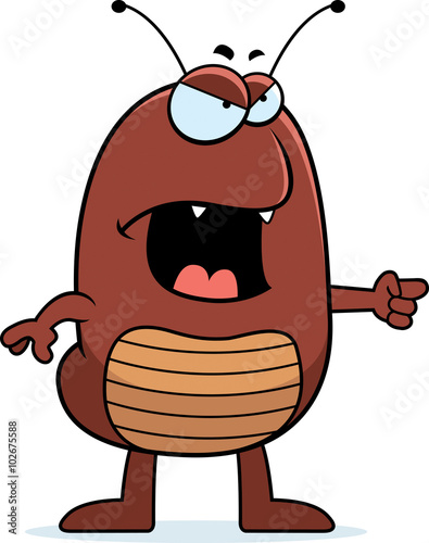 Angry Flea