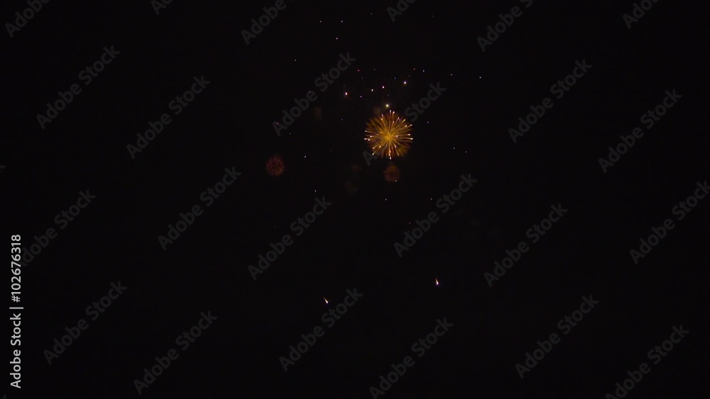 Tsuchiura All Japan Fireworks Competition 土浦の花火 Tsuchiura All Japan Fireworks Competition 土浦の花火