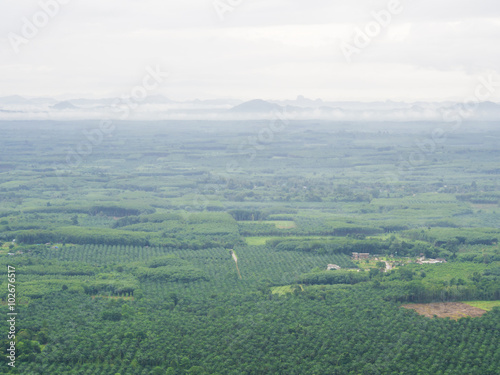 Green mountain landscape © themorningglory