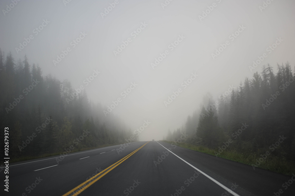 Travel the Misty Road