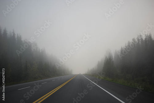 Travel the Misty Road