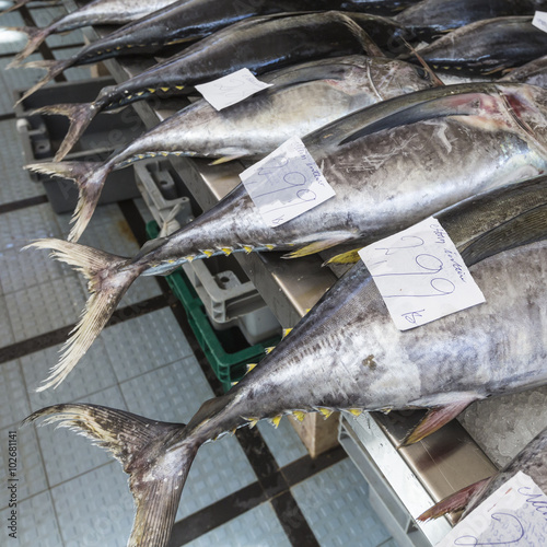 Fish market in Funchal, Madeira