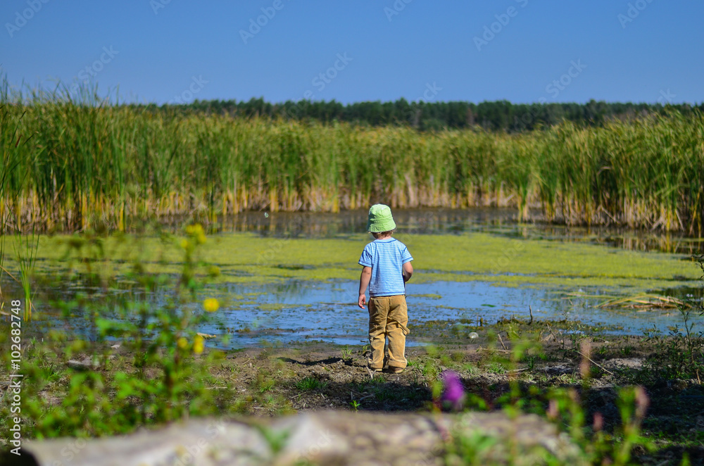 happy child standing back and looking at the lake with reeds happy child standing back and looking at the lake with reeds