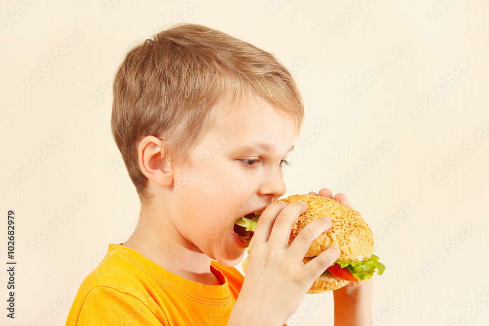 Little cut boy eating a tasty sandwich Little cut boy eating a tasty sandwich