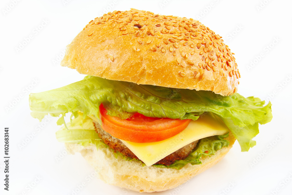 Great flavorful sandwich with cheese and chop on a white background Great flavorful sandwich with cheese and chop on a white background