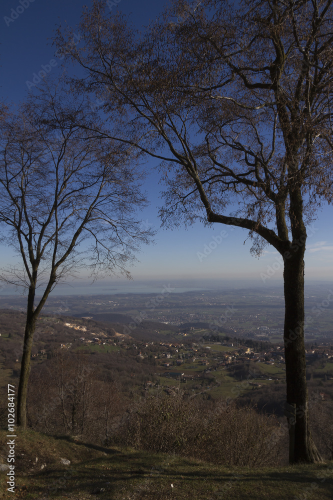 aeral view landscape