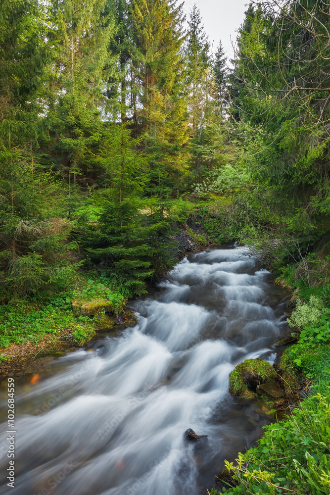 Carpathian Mountains. The mountain river near the waterfall Shipot