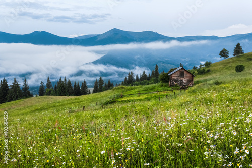 Carpathian Mountains. The house is on a slope in the green grass, fog, mountains in the distance.