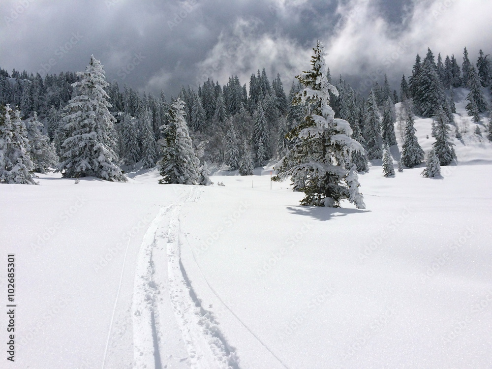 Neige Isère France