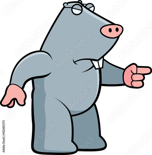 Angry Mole