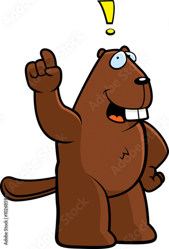 Beaver Idea