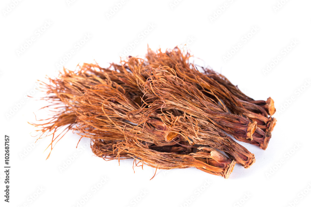 Fototapeta premium dried silk red cotton flowers isolated on white