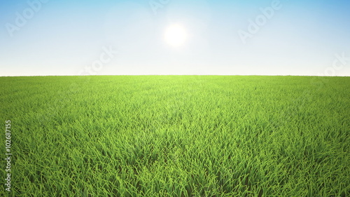 Flight over grass field, sun rising, time lapse