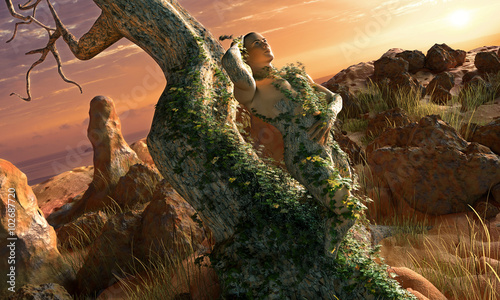 фотографія Retour au naturel