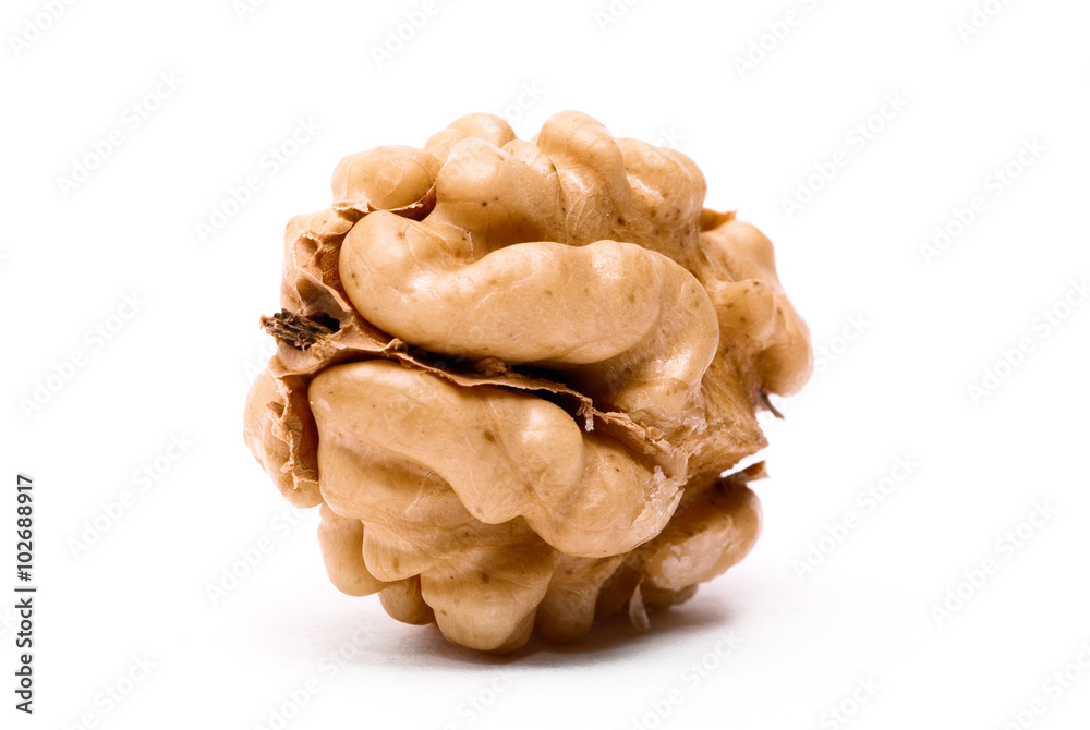 walnut isolated on a white background walnut isolated on a white background