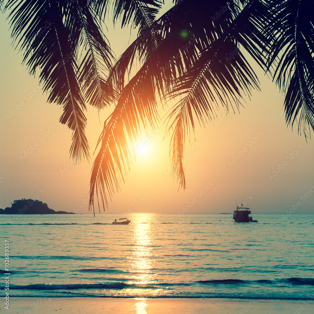 Tropical beach during a beautiful sunset.