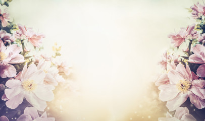 Lovely floral pastel color background, banner