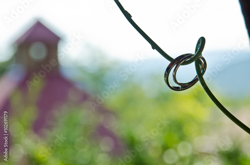 Wedding rings on vine overlooking chapel