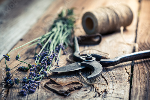 Fototapeta Naklejka Na Ścianę i Meble -  Fresh lavender on old wooden table