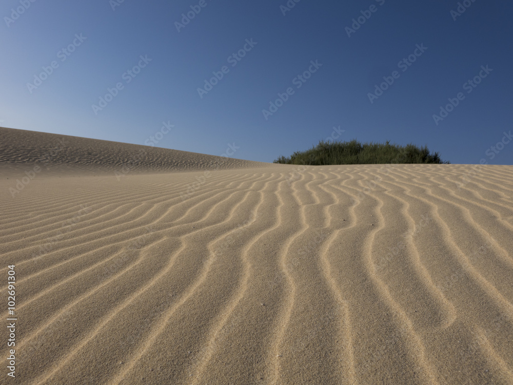 Sand patterns Natural park,Corralejo,Canary-islands,Spain Sand patterns Natural park,Corralejo,Canary-islands,Spain
