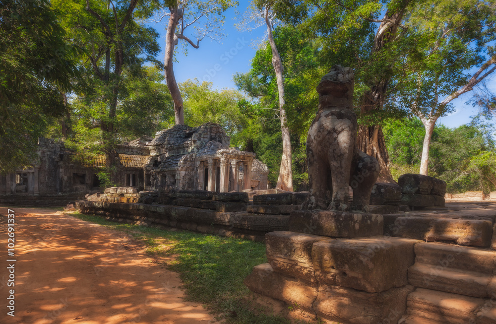 Fototapeta premium SIEM REAP, CAMBODIA. The hidden jungle temple ta prohm near angkor wat in siem reap, cambodia is one of the most fascinating places on planet earth.