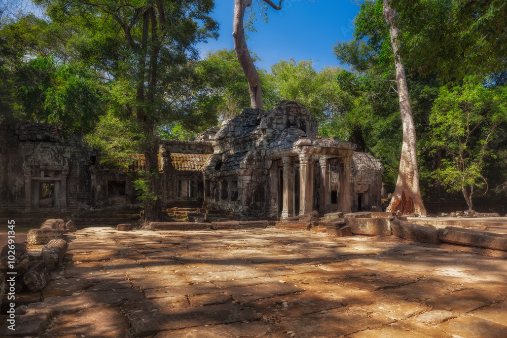 SIEM REAP, CAMBODIA.  The ruins of Ta Prohm Temple