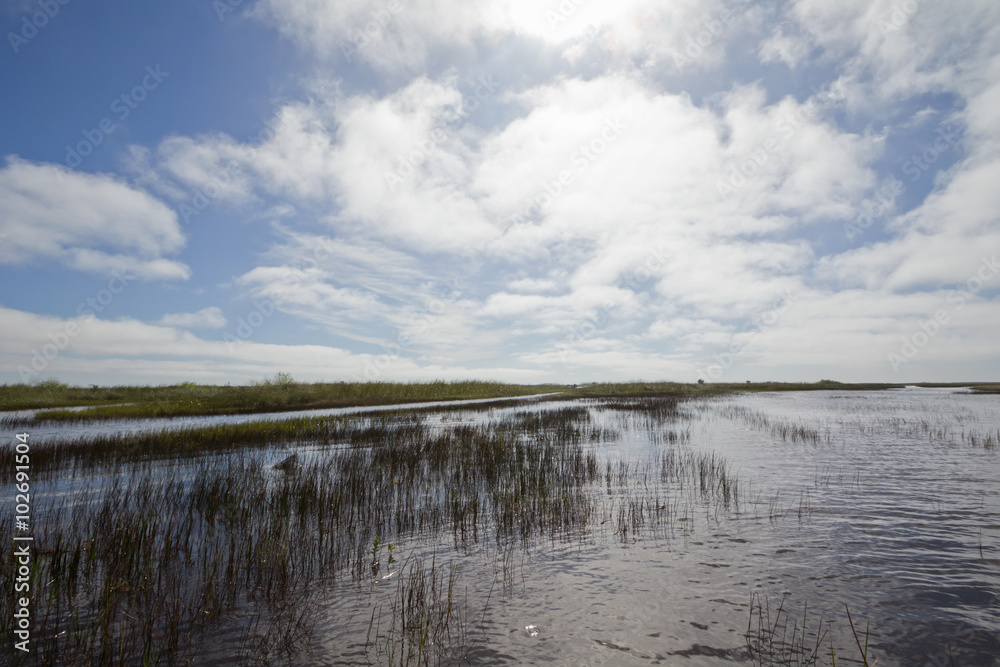 Ausflug in den Everglades