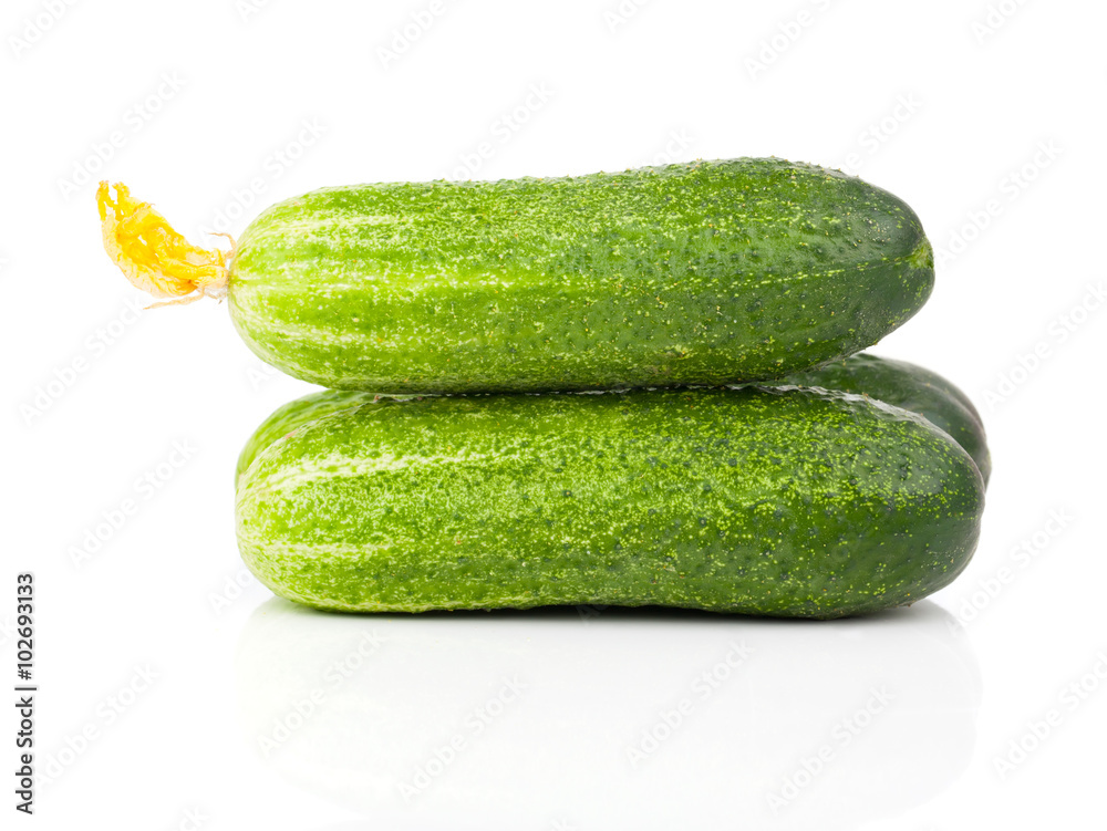 cucumber with inflorescence, isolated on white background cucumber with inflorescence, isolated on white background